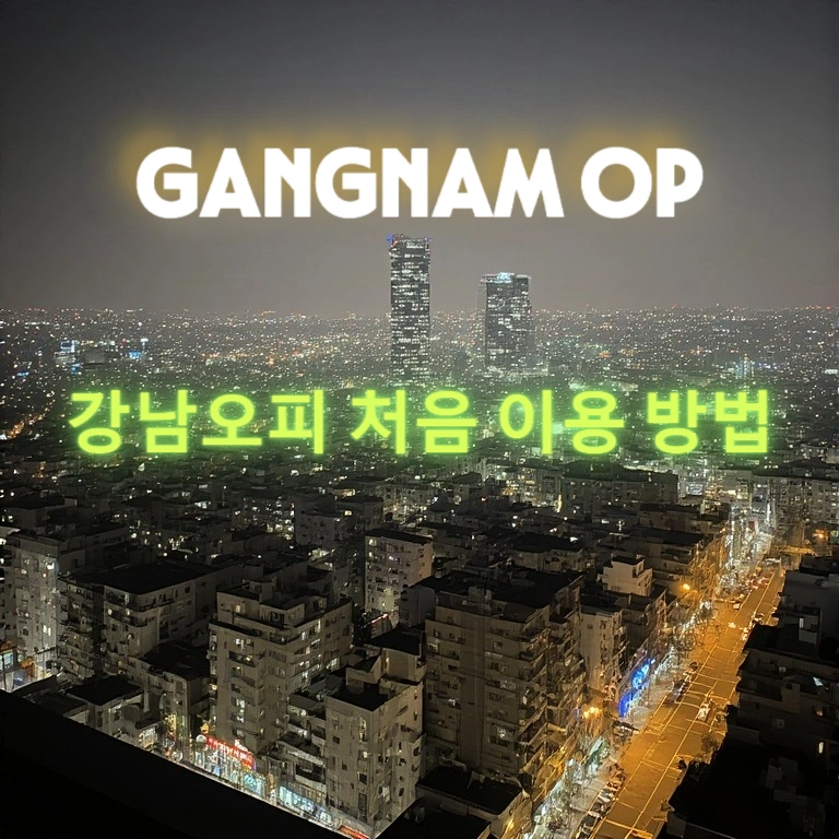서울 강남op - 강남오피